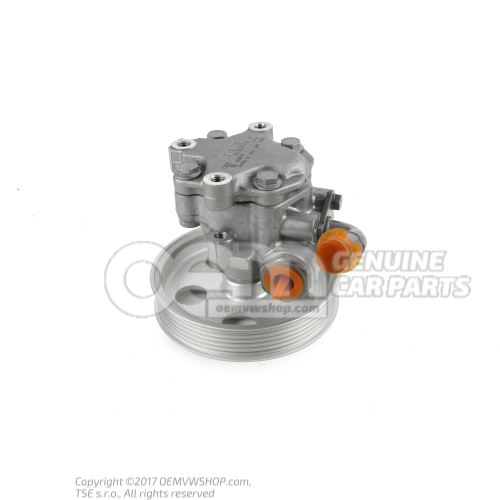 Vane pump with ribbed belt pulley 8E0145153H