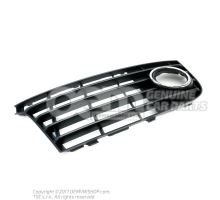 Air guide grille satin black Audi TT/TTS Coupe/Roadster 8J 8J0807682F 01C