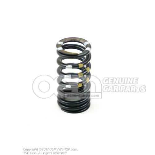 Valve spring 06E109623AH