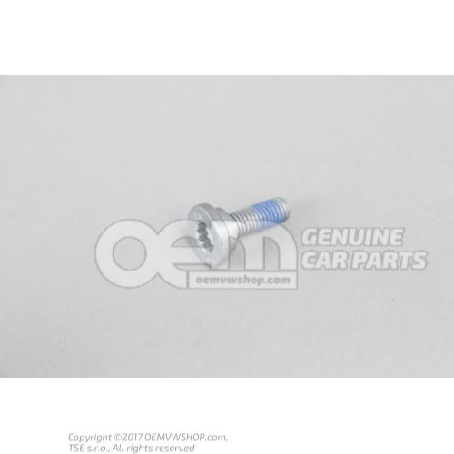 Cylinder fitting screw with inner multipoint head WHT007406