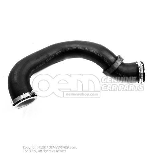 Pressure hose 7E0145980