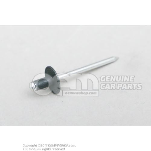 N  90251001 Rivet aveugle 4,8X9