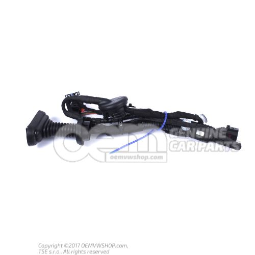 Faisceau de cables pour porte 8P4971687T