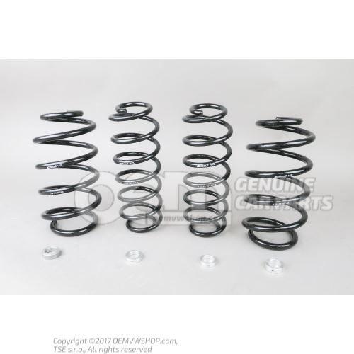 1 set coils springs for sports chassis