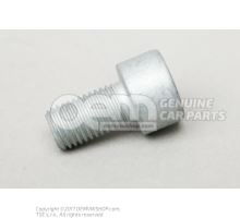 Cylinder fitting screw with inner multipoint head N  91175601