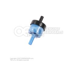 Non-return valve 433862117