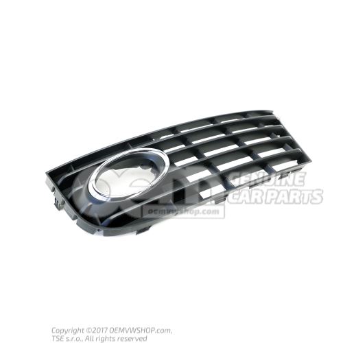 Air guide grille satin black Audi TT/TTS Coupe/Roadster 8J 8J0807681F 01C