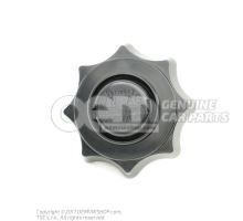 Nut for spare wheel mounting 8W0803899
