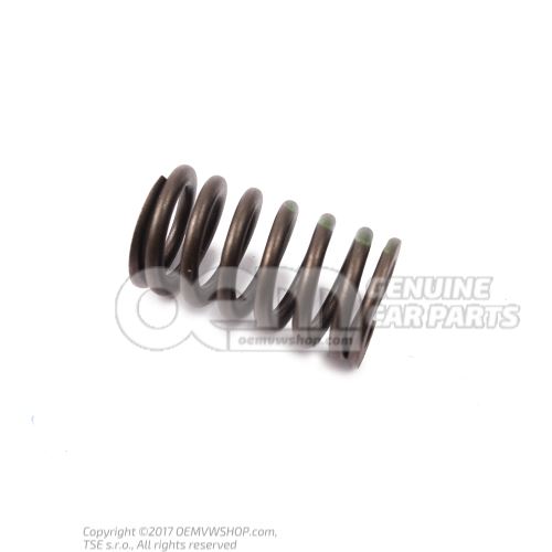 Valve spring