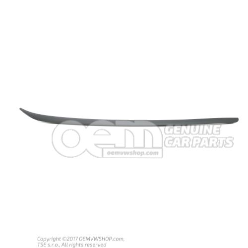 Water deflector strip satin black 4F0854327A 01C