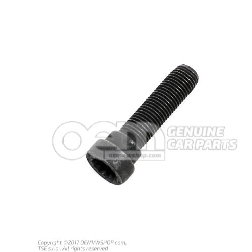 Socket head bolt with inner multipoint head N  91210001