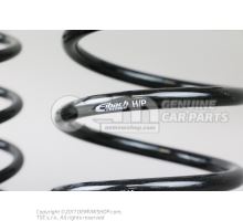1 set coils springs for sports chassis