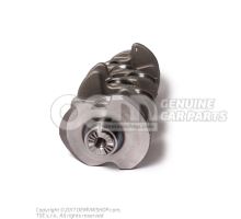 Crankshaft 06L105101D