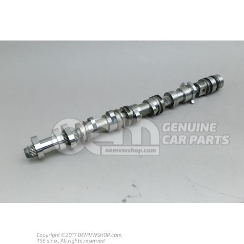 Camshaft 079109003GR