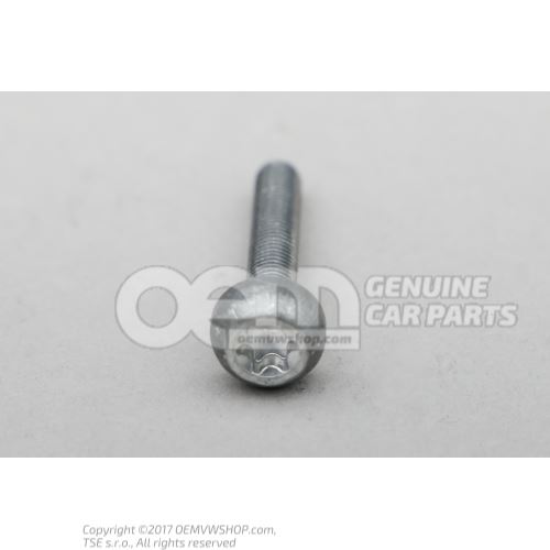 Fillister head bolt with multi-point socket head size M7X50 WHT004873