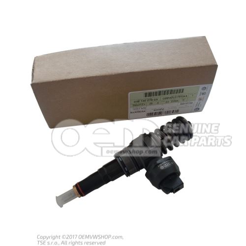 Pump injector unit 038130079GV