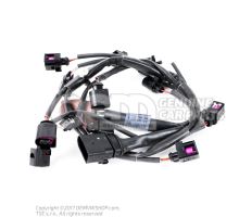 Mazo de cables p. inyectores Audi RS6/RS6 plus/Avant Quattro 4F 07L971627N