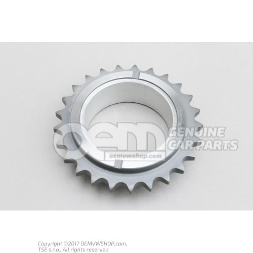 Chain sprocket 079109570AT
