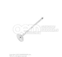 Exhaust valve 022109611P