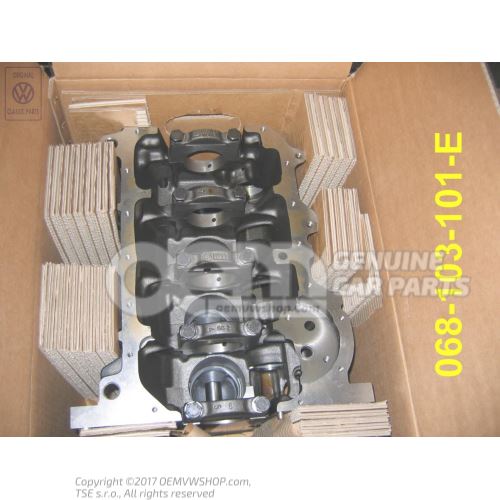 Cylinder block with pistons 068103101E