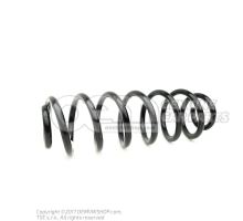 Coil spring 5Q0511121EN